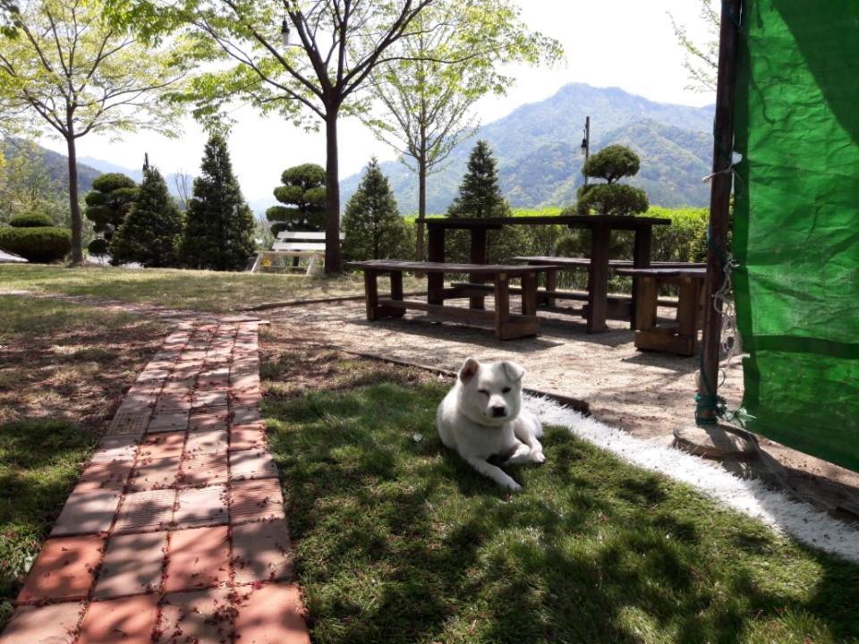Chamjoeun Pension Chechon Luaran gambar