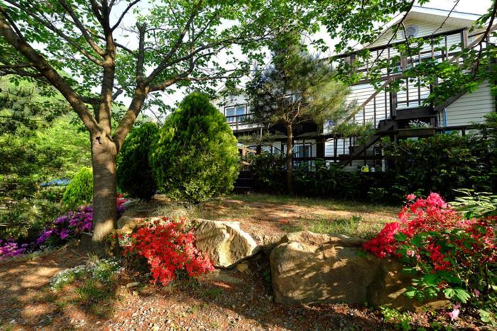 Chamjoeun Pension Chechon Luaran gambar